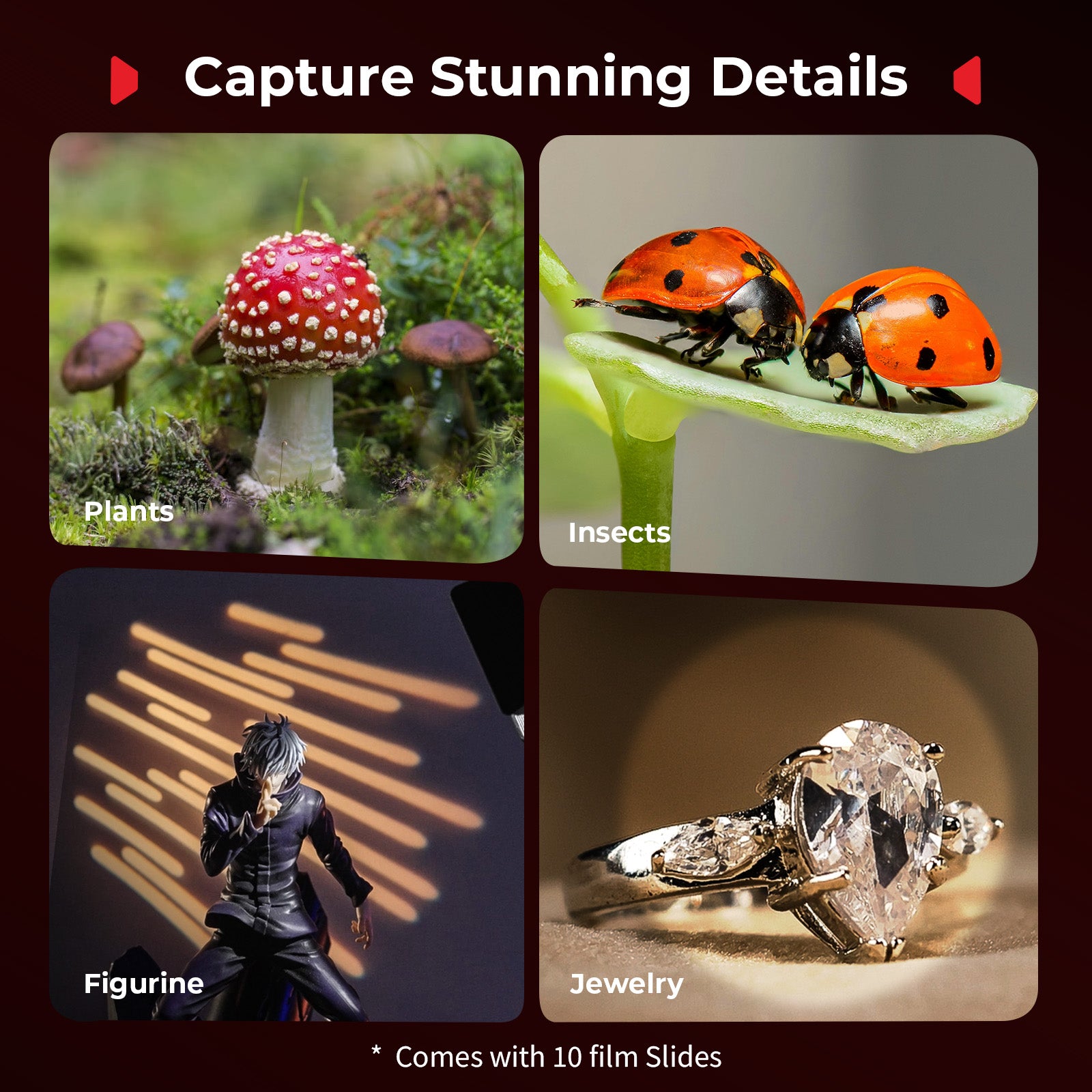 SmallRig SmallRig RM 03 Macro Photo LED Light for Mushrooms / Miniatures: 5 Colors CRI95, Flexible Arm, Diffuser 5480 - Film Gear Canada