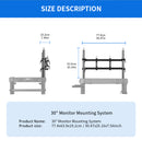 Selens 30" Camera Cart Monitor Mounting System (SAB13-MMS30)