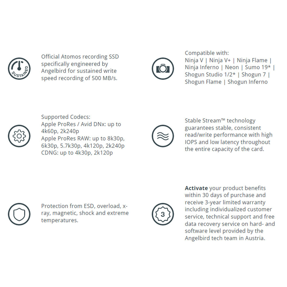 Angelbird AtomX SSDmini (500GB)