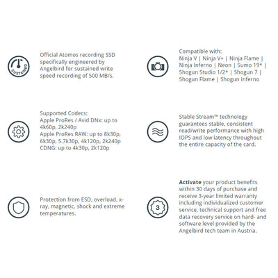 Angelbird AtomX SSDmini (500GB)