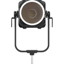 Aputure STORM XT52 Point-Source Full-White LED Monolight Dual Flight Case Kit (Bare Ends Cable)