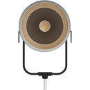 Aputure STORM XT52 Point-Source Full-White LED Monolight Dual Flight Case Kit (Bare Ends Cable)