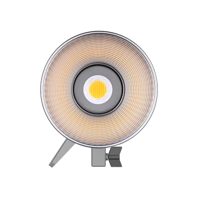 Amaran 200X-S Bi-Color 200W Point-Source LED Video Light