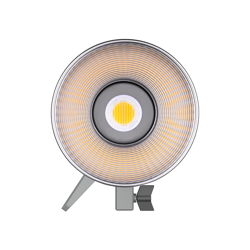 Amaran 200X-S Bi-Color 200W Point-Source LED Video Light