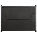 Nanlite Barndoor for Alien 300C