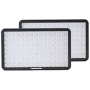 Amaran Pano 60c 2-Light Kit (Charcoal)