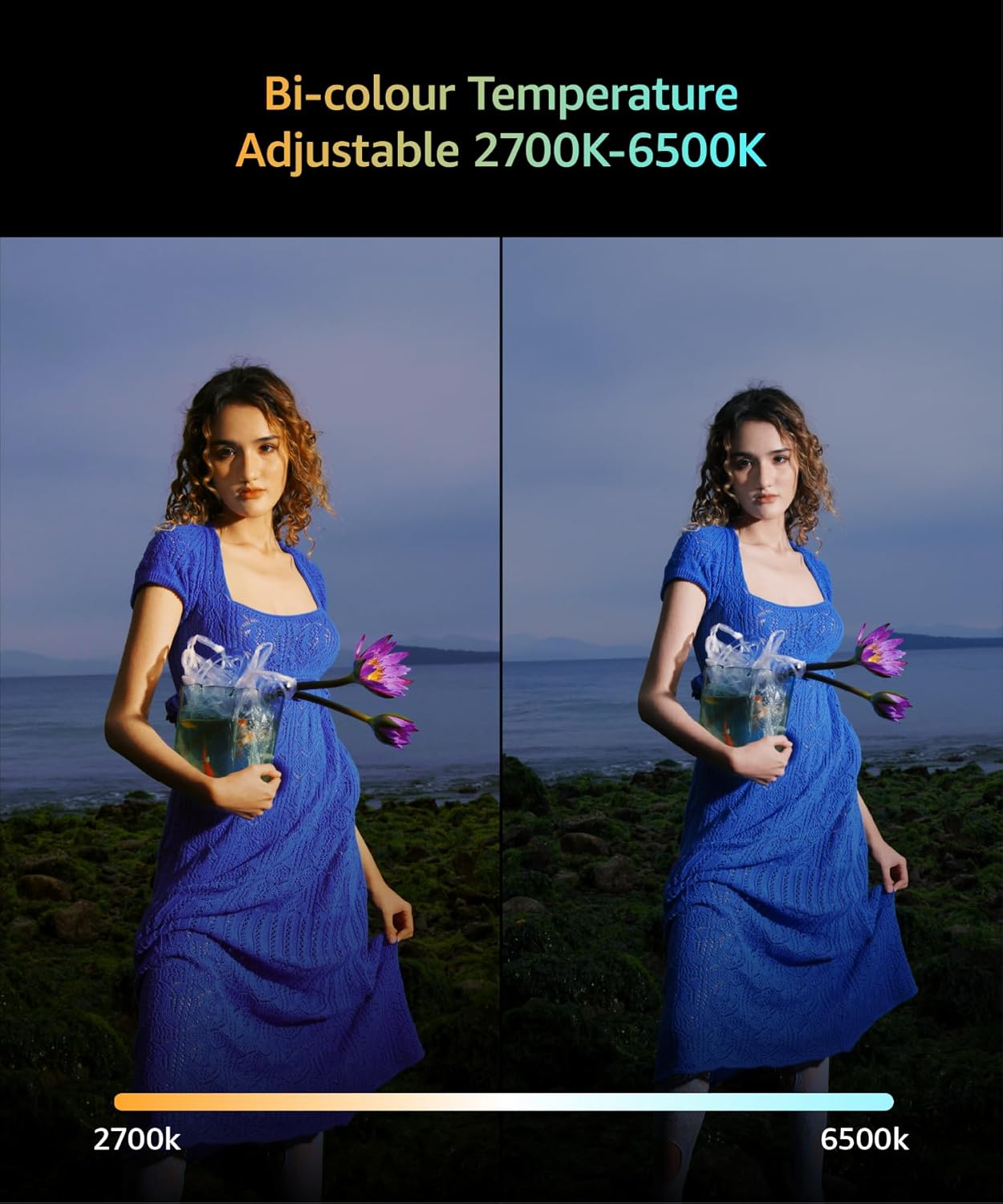 Amaran Ace 25x Bi-Color LED Light Panel