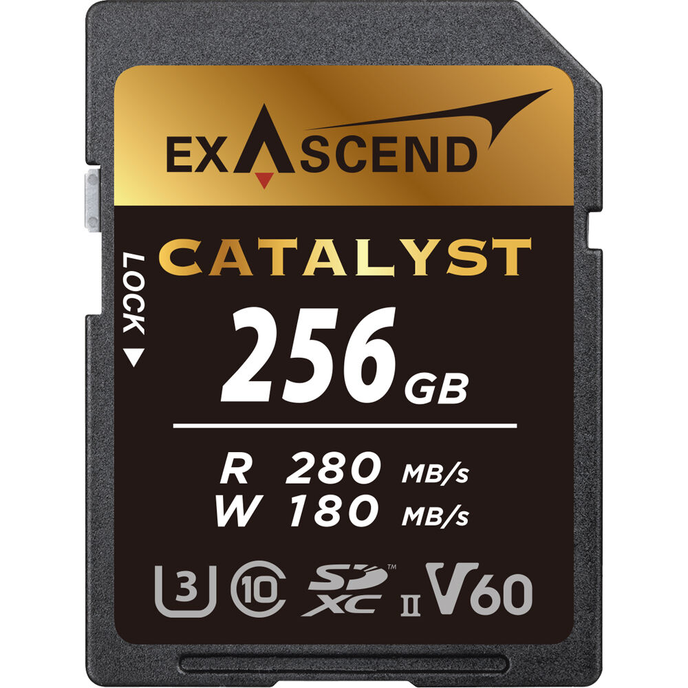 Exascend EX256GSDV60 B&H product image 1