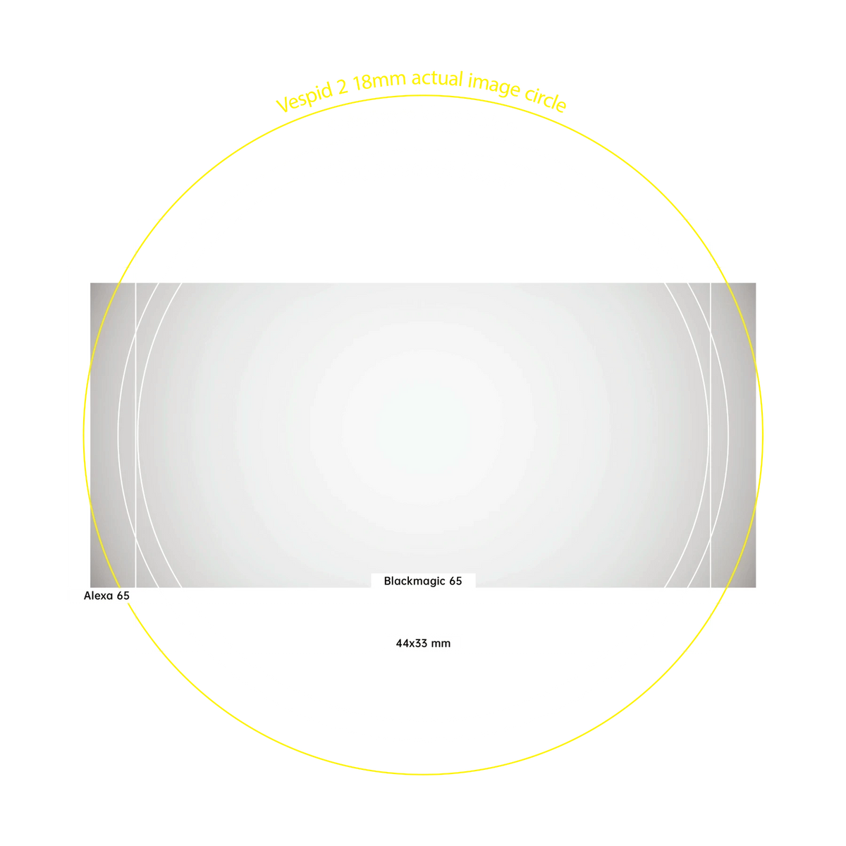 Vespid 2 optical design feature
