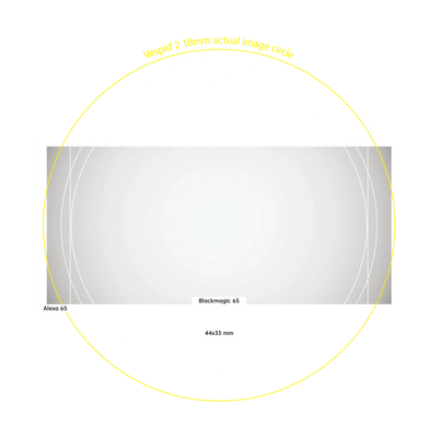 Vespid 2 optical design feature