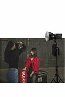 Nanlite Forza 60 Battery Grip (NP-F750) - Filmgear Canada